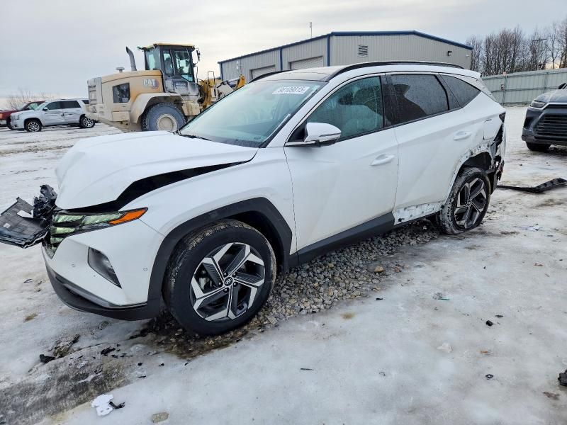 2023 Hyundai Tucson Limited