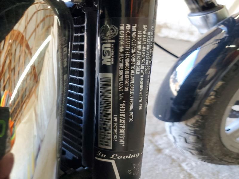 2023 Harley-Davidson Fxst