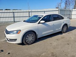 Volkswagen Passat salvage cars for sale: 2014 Volkswagen Passat s
