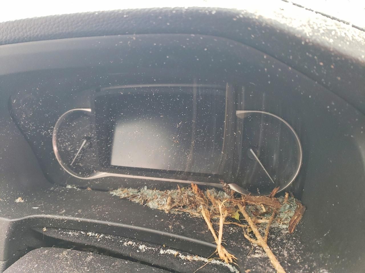 2025 Honda Passport exl