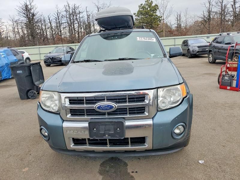 2010 Ford Escape Limited