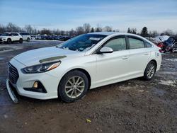 2019 Hyundai Sonata se for sale in Central Square, NY