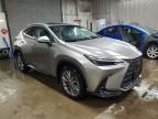 2024 Lexus Nx 350 Luxury