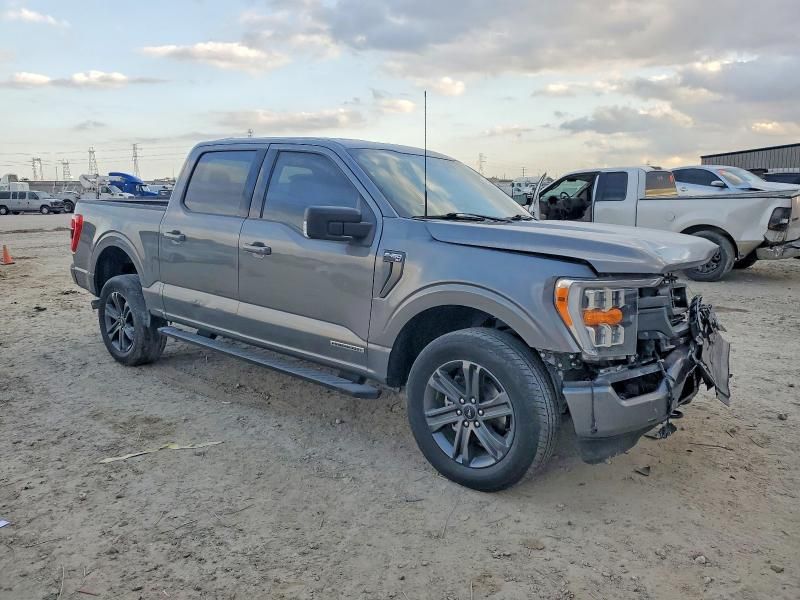 2023 Ford F150 Supercrew
