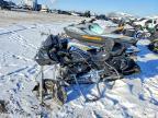 2020 Harley-Davidson Fltrk