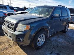 Salvage cars for sale from Copart Elgin, IL: 2008 Ford Escape Limited