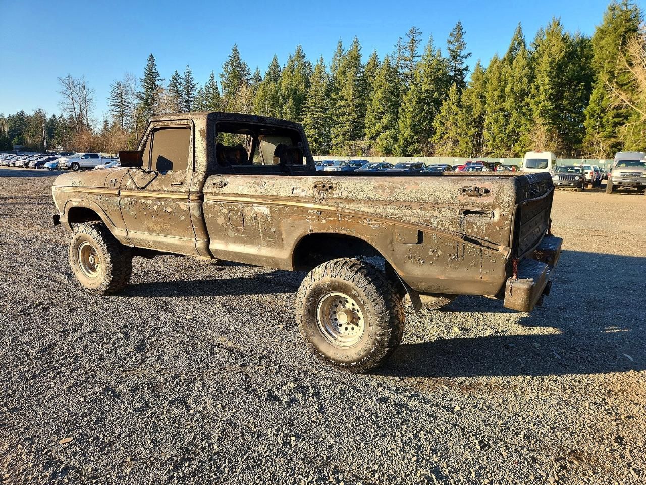 1979 Ford F100 Serie