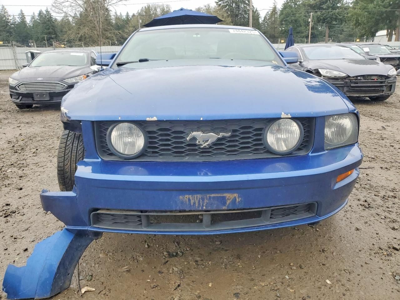 2007 Ford Mustang gt