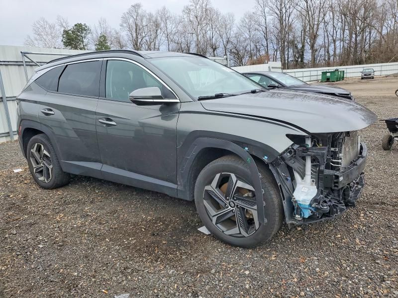 2023 Hyundai Tucson Limited