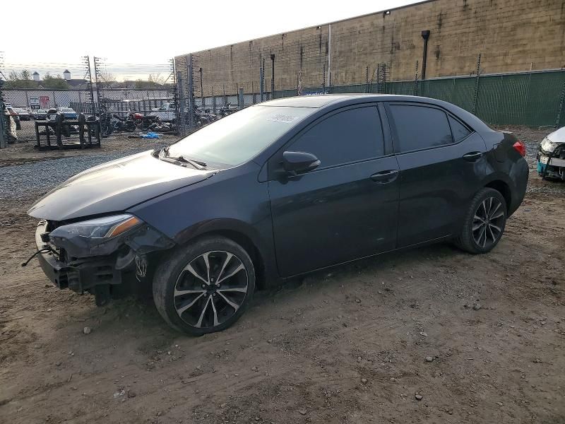 2019 Toyota Corolla l