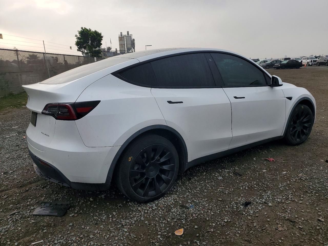 2020 Tesla Model y