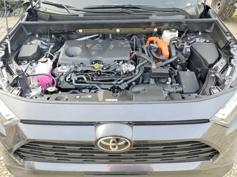 2025 Toyota Rav4 xle