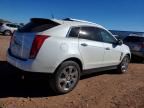 2010 Cadillac Srx Performance Collection