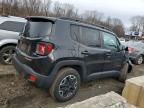 2017 Jeep Renegade Trailhawk