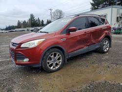 2015 Ford Escape se en venta en Graham, WA