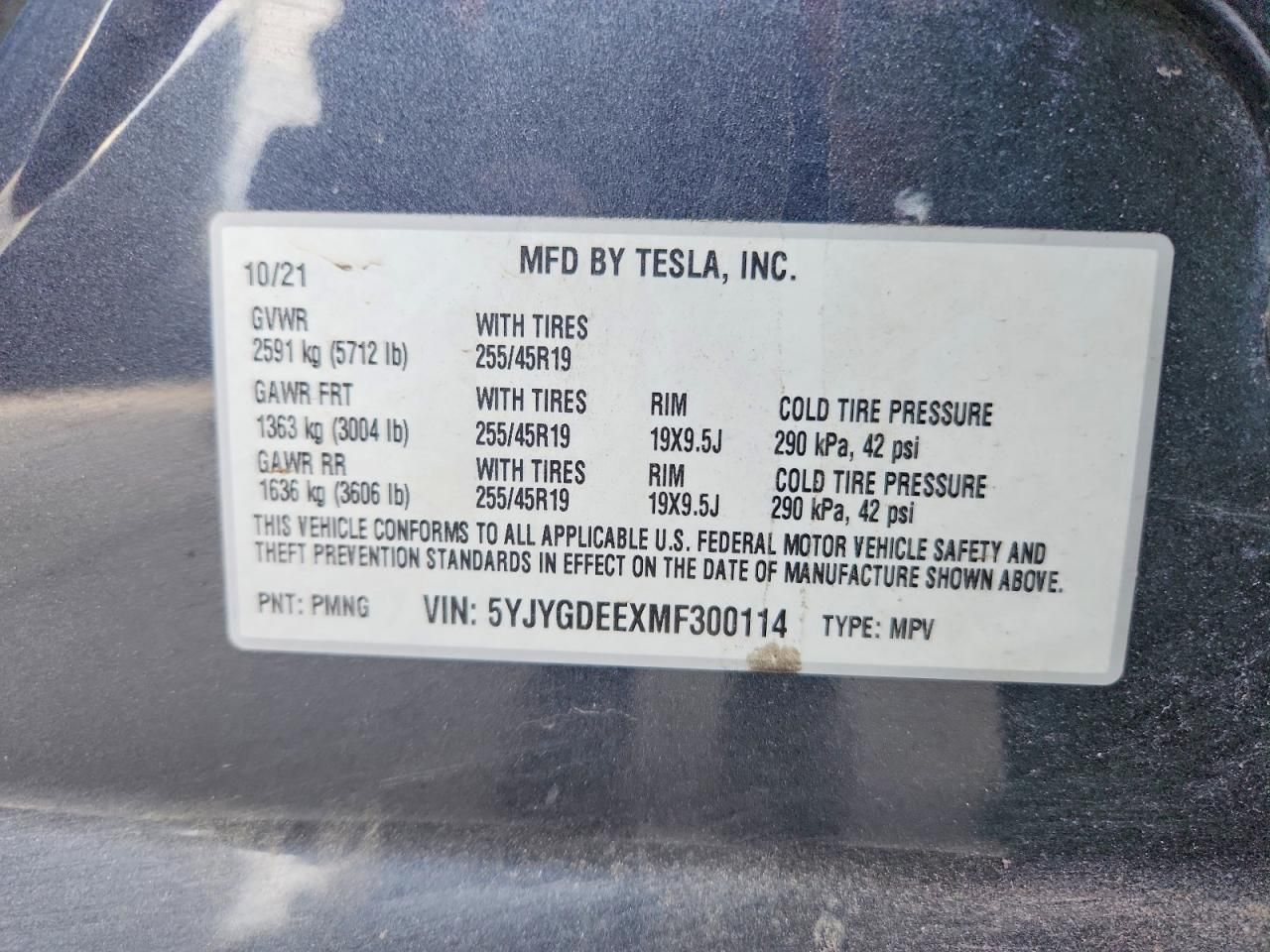 2021 Tesla Model y
