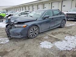 2022 Honda Civic exl for sale in Louisville, KY