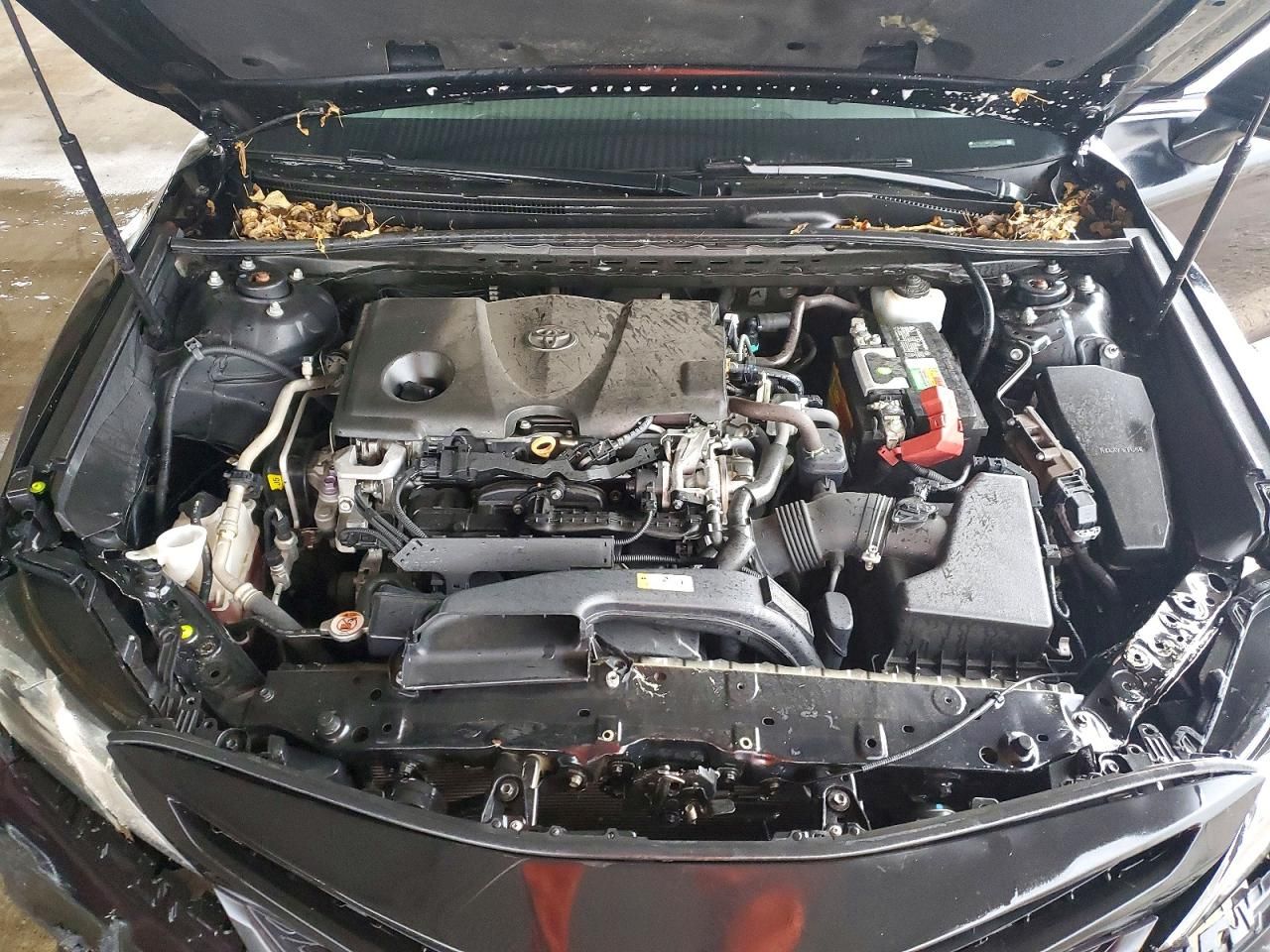 2020 Toyota Camry se