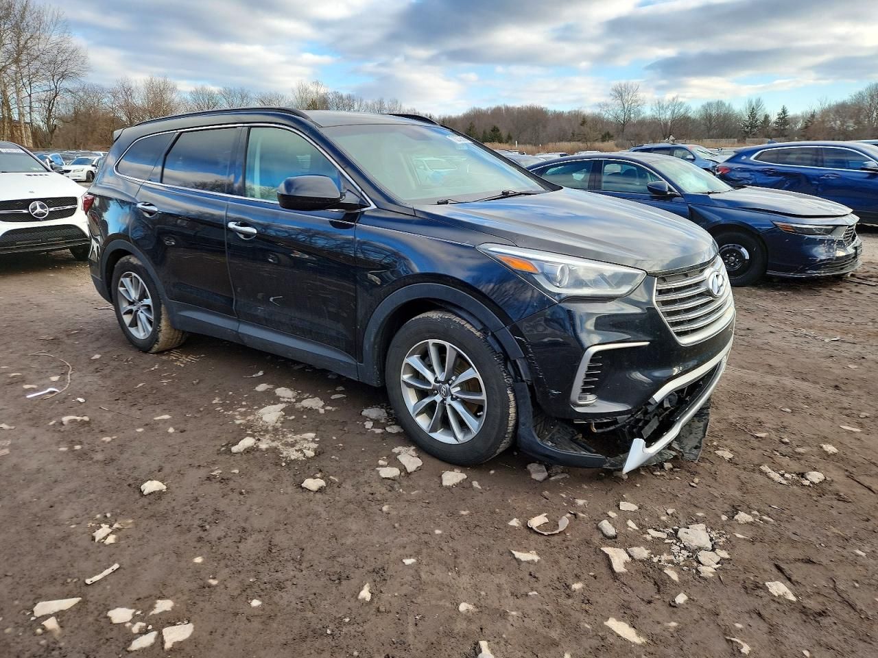 2017 Hyundai Santa fe se