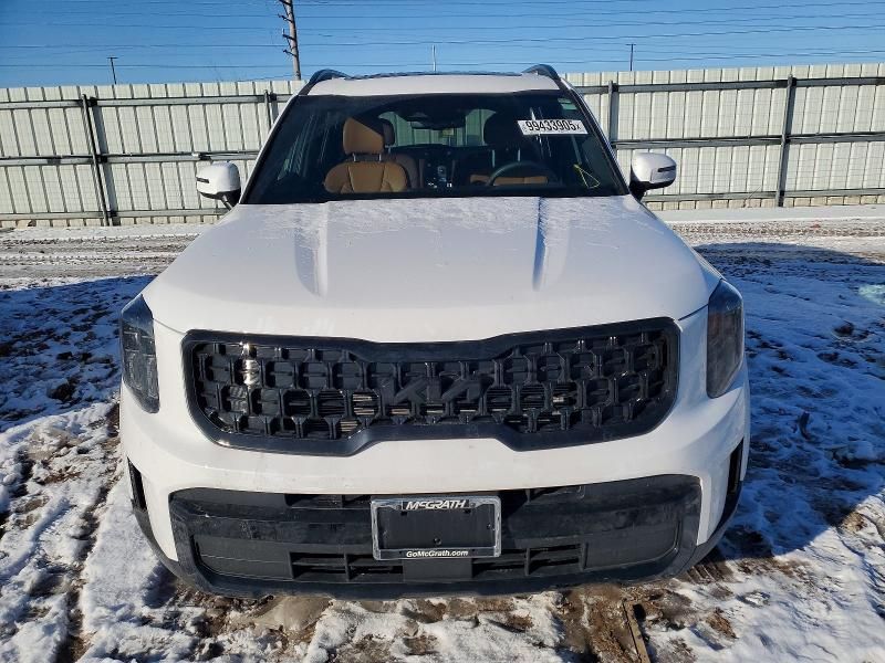 2025 KIA Telluride ex