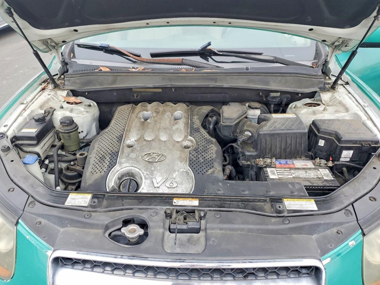 2007 Hyundai Santa fe gls