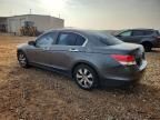 2010 Honda Accord ex