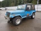 1990 Jeep Wrangler / yj Islander