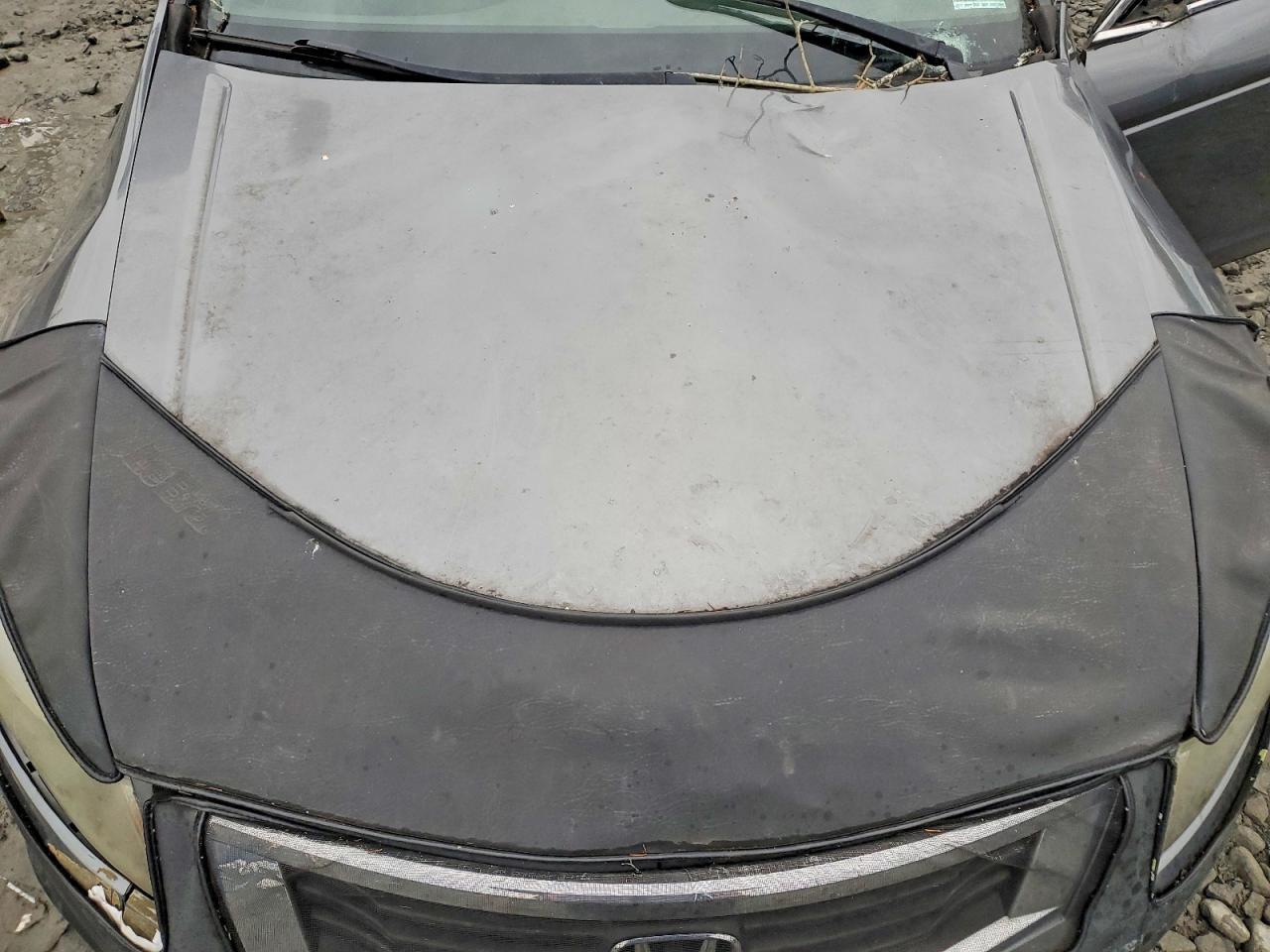 2010 Honda Accord ex