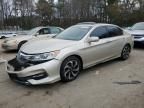 2017 Honda Accord exl