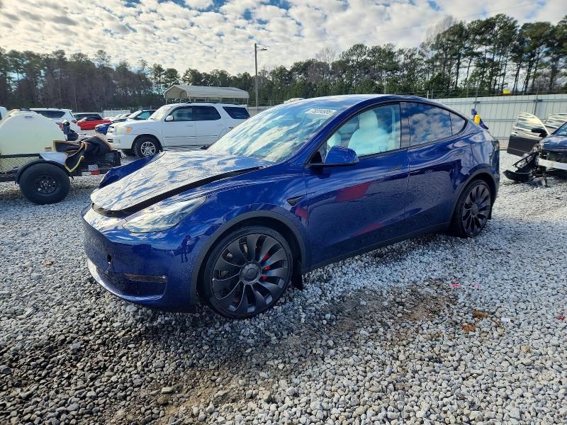 2022 Tesla Model y