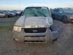 2003 Ford Escape xlt