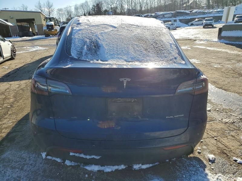 2020 Tesla Model y