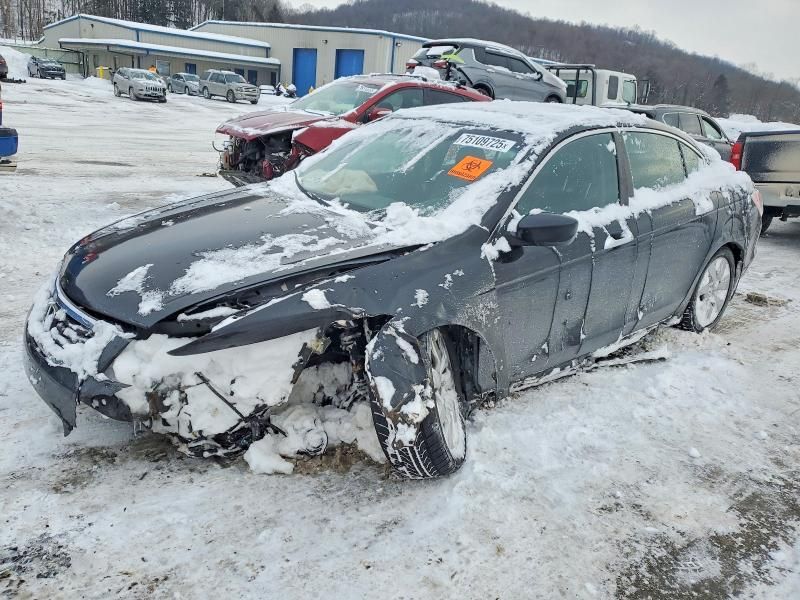 2010 Honda Accord exl