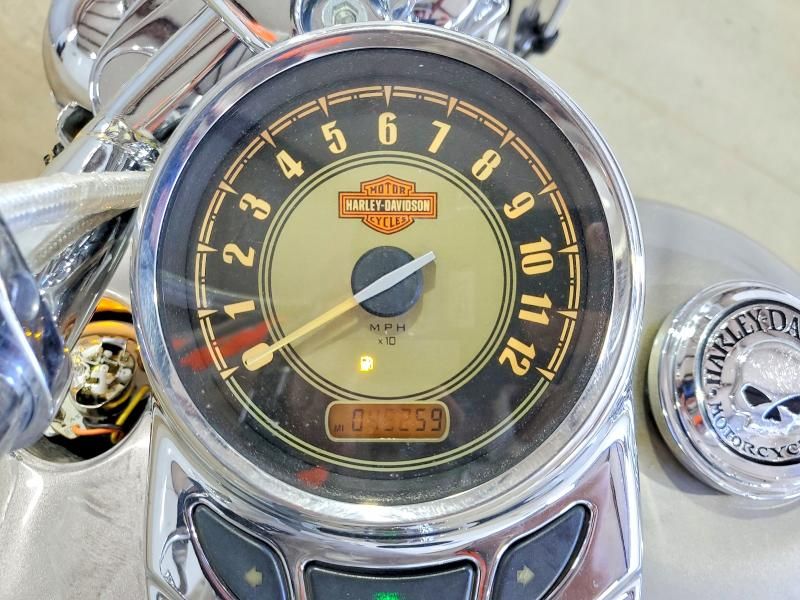 2009 Harley-Davidson Flstc