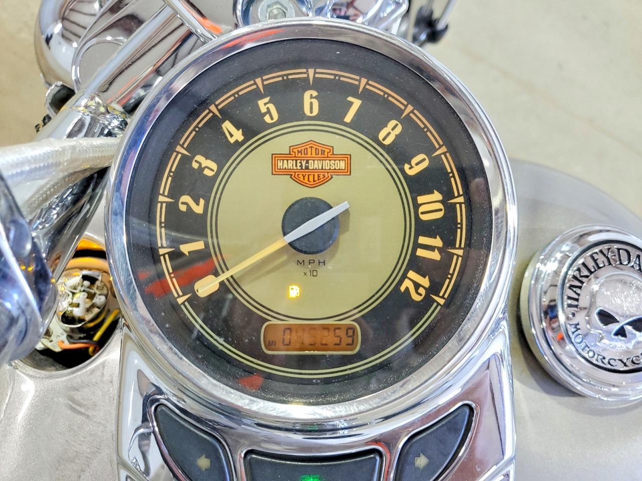 2009 Harley-Davidson Flstc