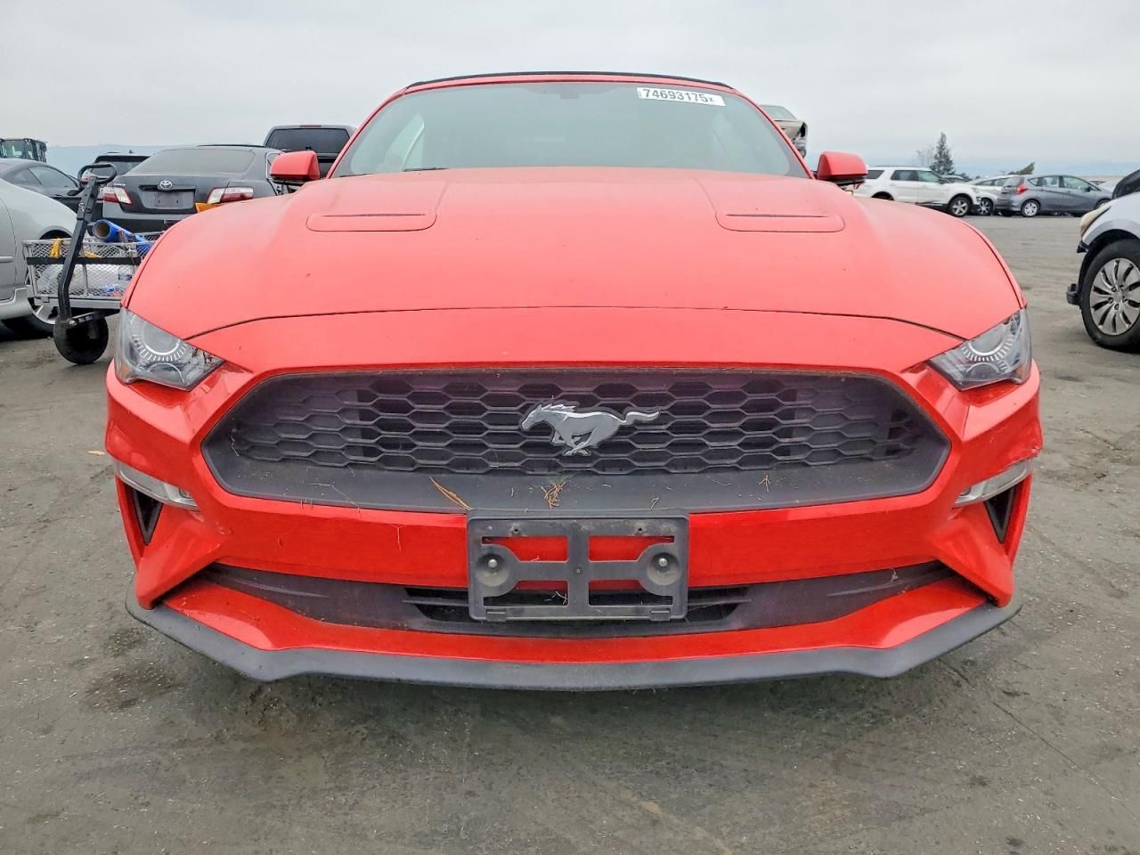 2019 Ford Mustang
