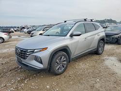 2022 Hyundai Tucson Hybrid Blue for sale in Houston, TX