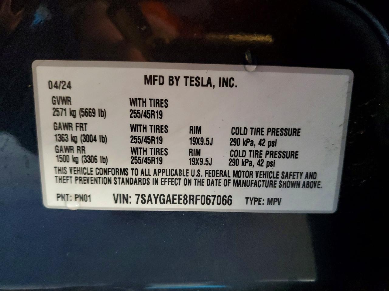 2024 Tesla Model y