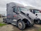 2020 Freigliner Cascadia 126
