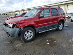 2004 Ford Escape xlt for sale in Louisville, KY