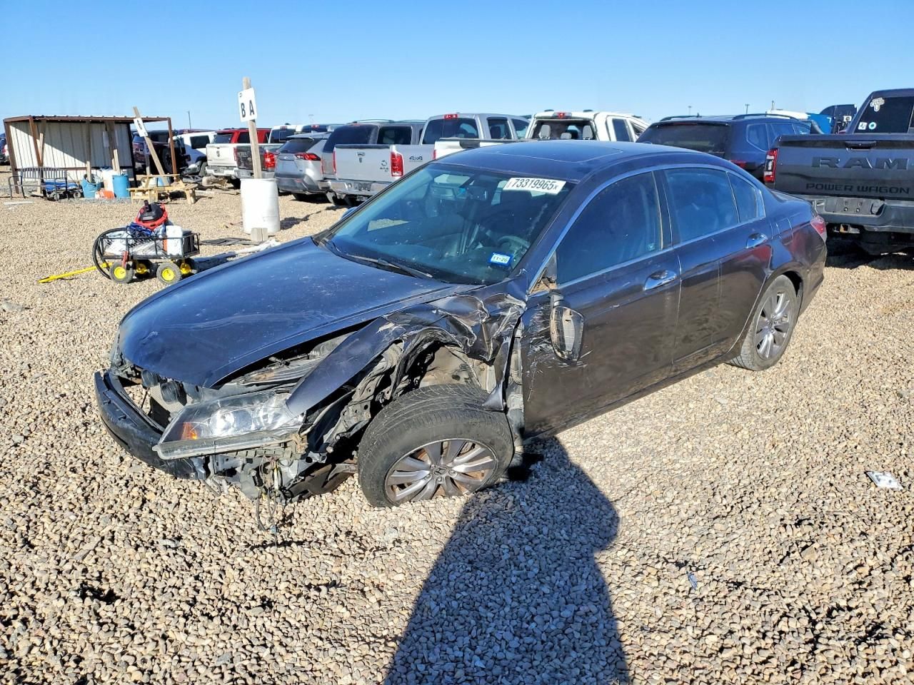2011 Honda Accord exl