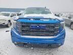 2022 GMC Sierra K1500 Elevation
