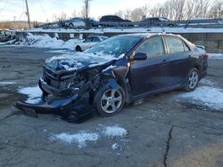 Salvage cars for sale from Copart Marlboro, NY: 2011 Toyota Corolla Base