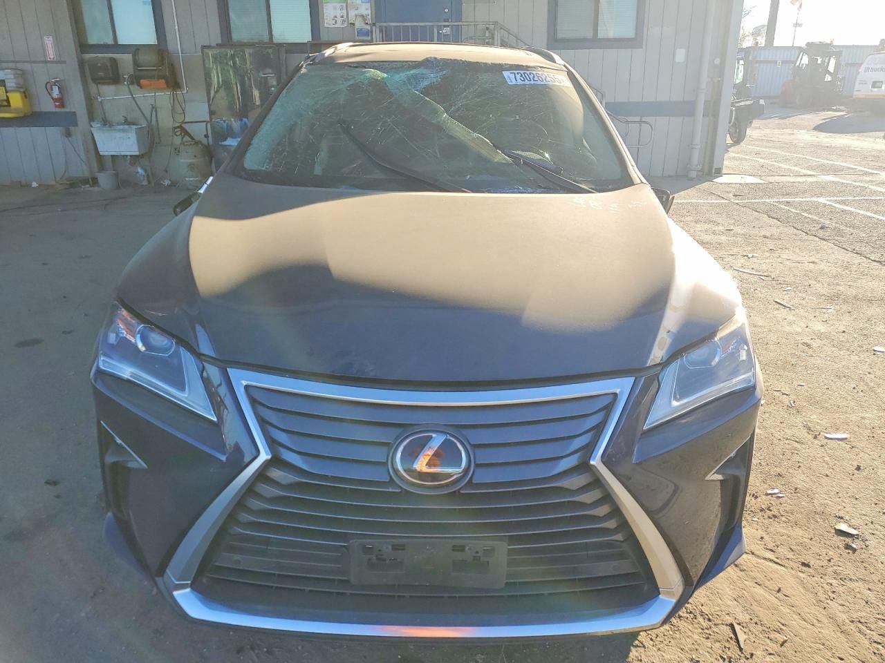 2019 Lexus Rx 350 l