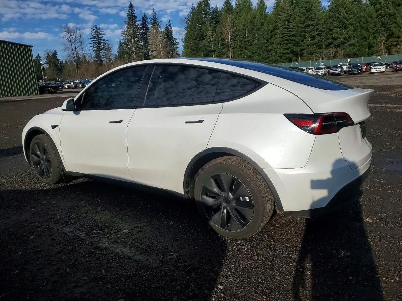 2025 Tesla Model y