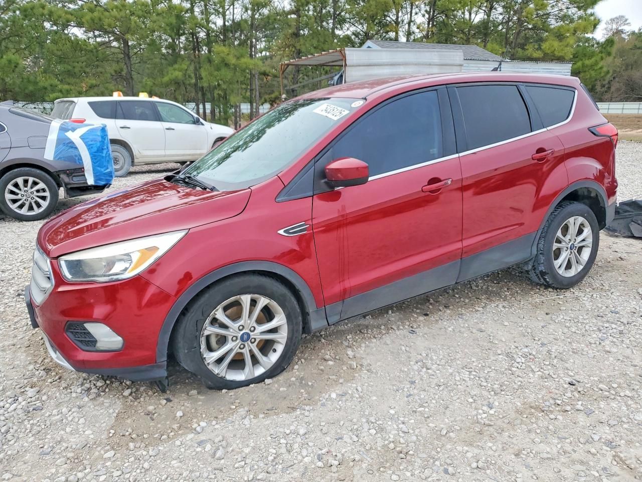 2019 Ford Escape se