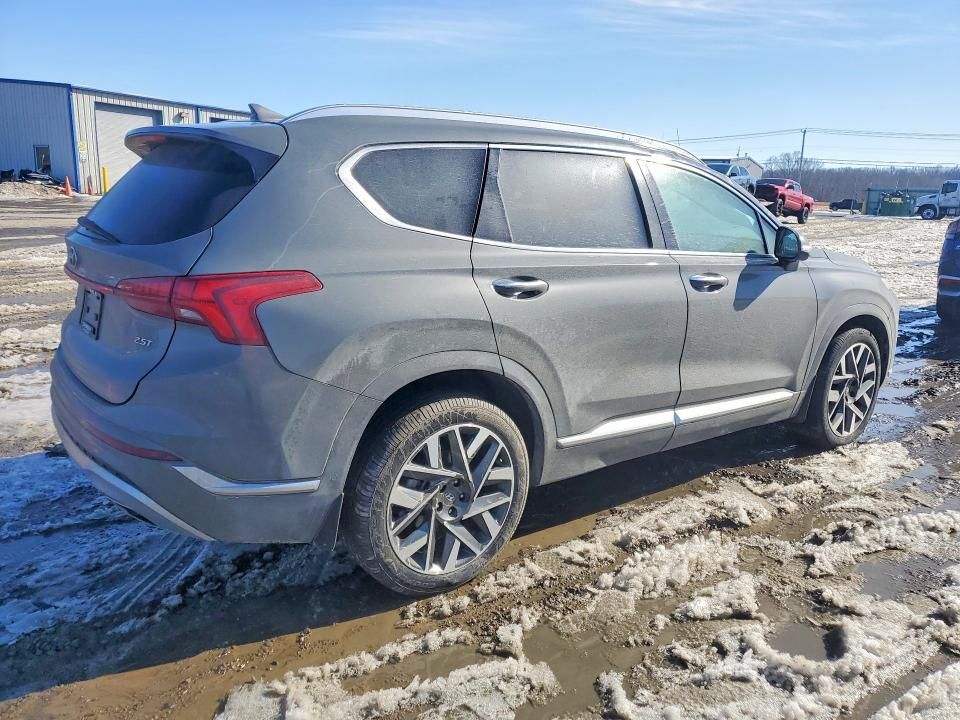 2023 Hyundai Santa fe Calligraphy