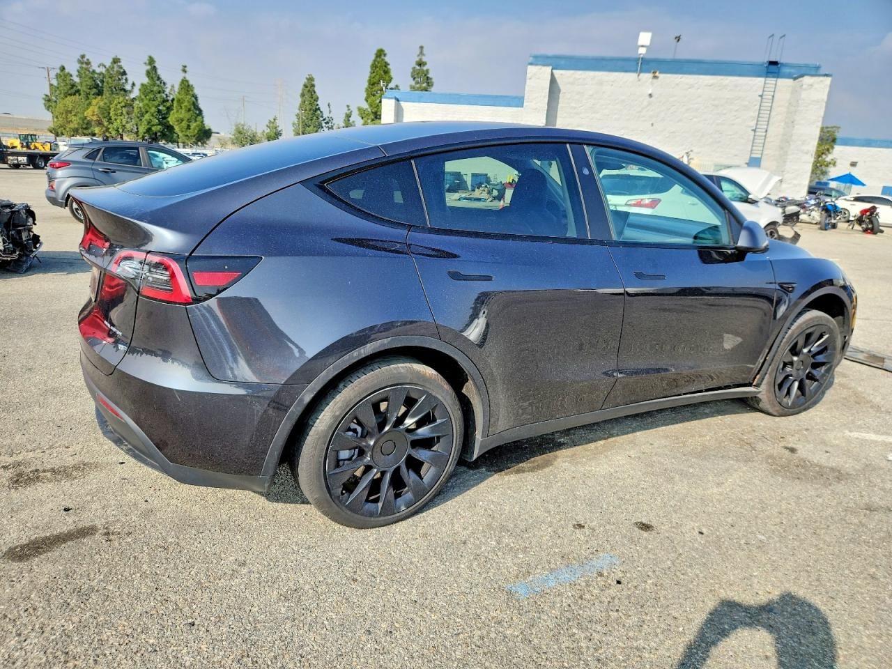 2024 Tesla Model y