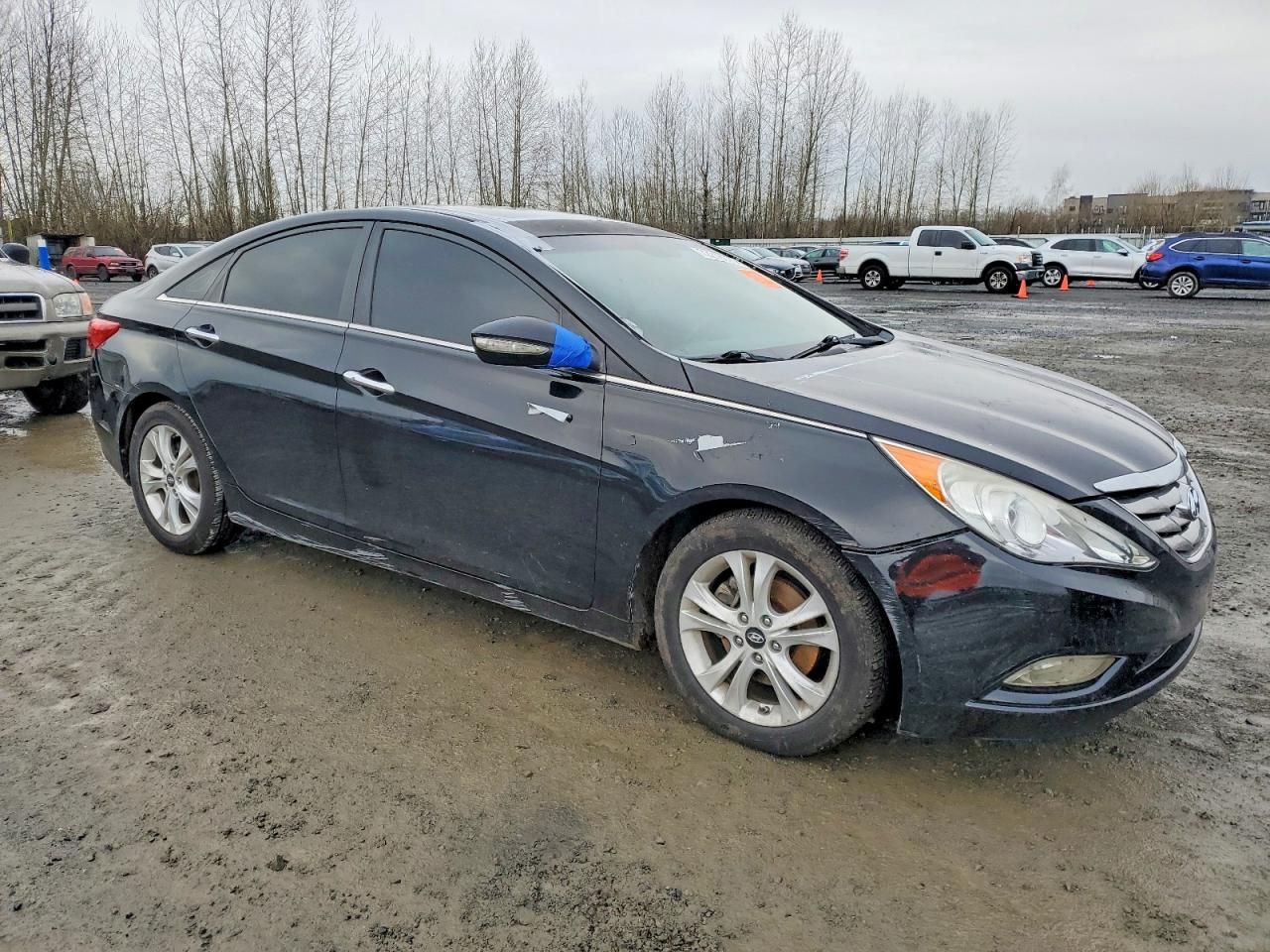 2011 Hyundai Sonata se