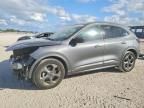 2023 Ford Escape st Line